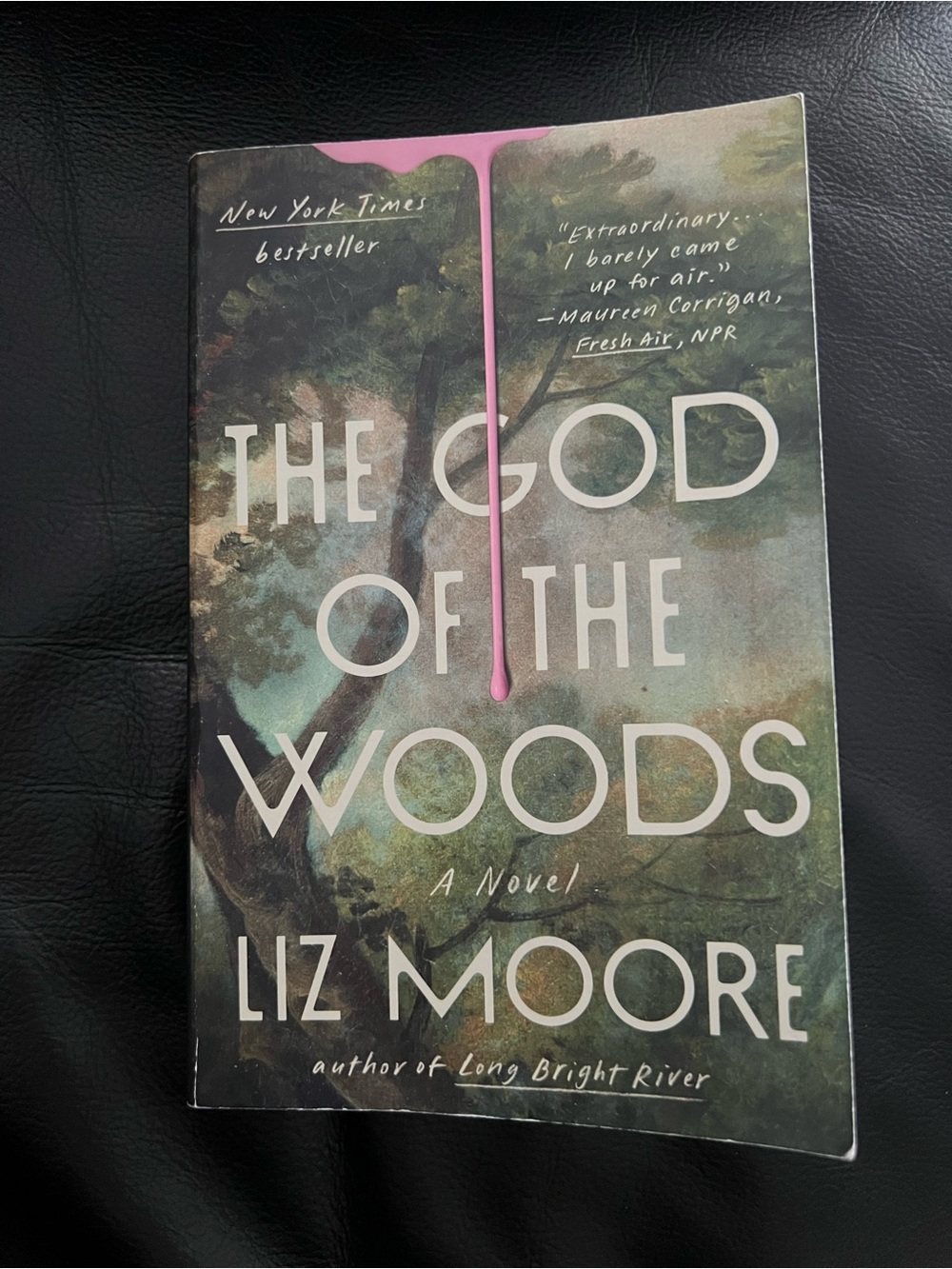 The God of the Woods by Liz Moore| Paperback
